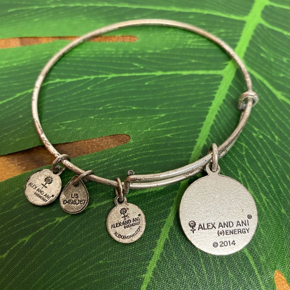 Alex and Ani Irish Claddah Charm Bangle Bracelet - Picture 2 of 2